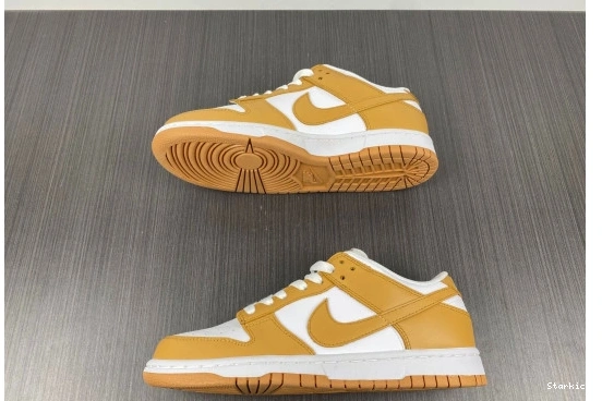 Moon Nike (W) Harvest Dunk Low DD1503-114 0730